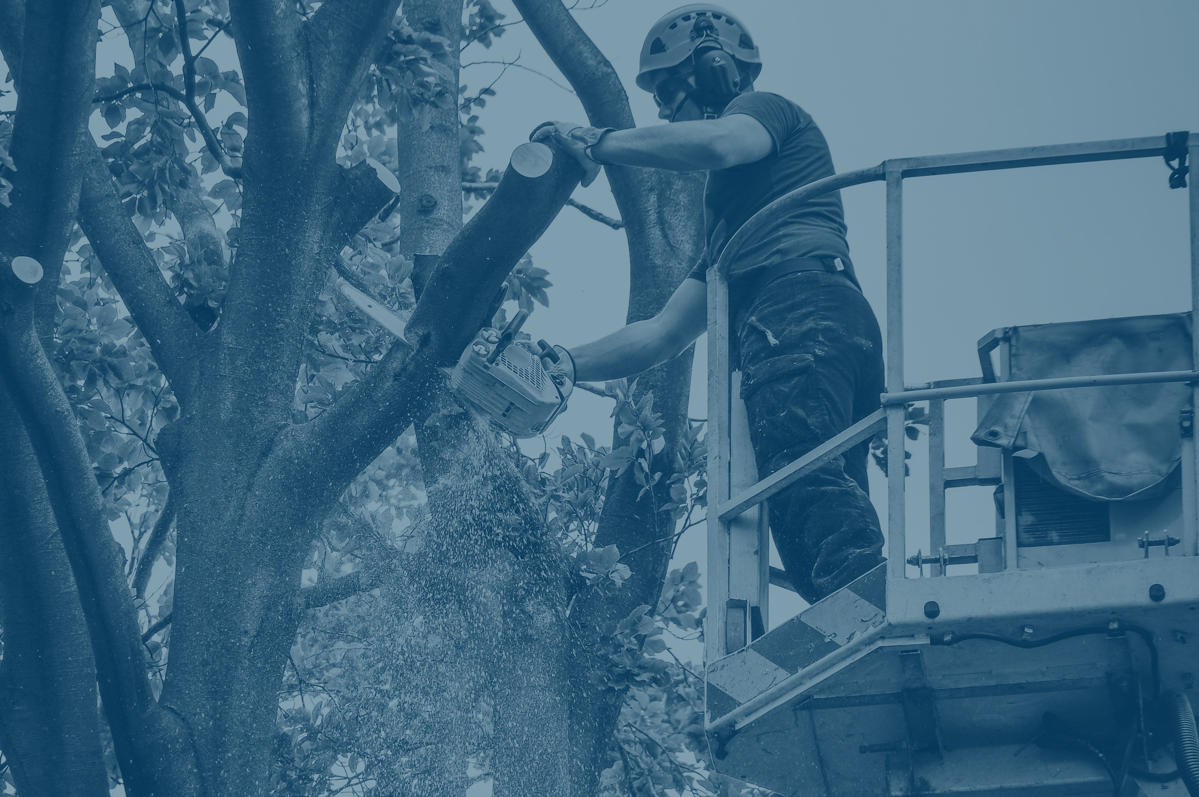 Want jobs? Job search made easy