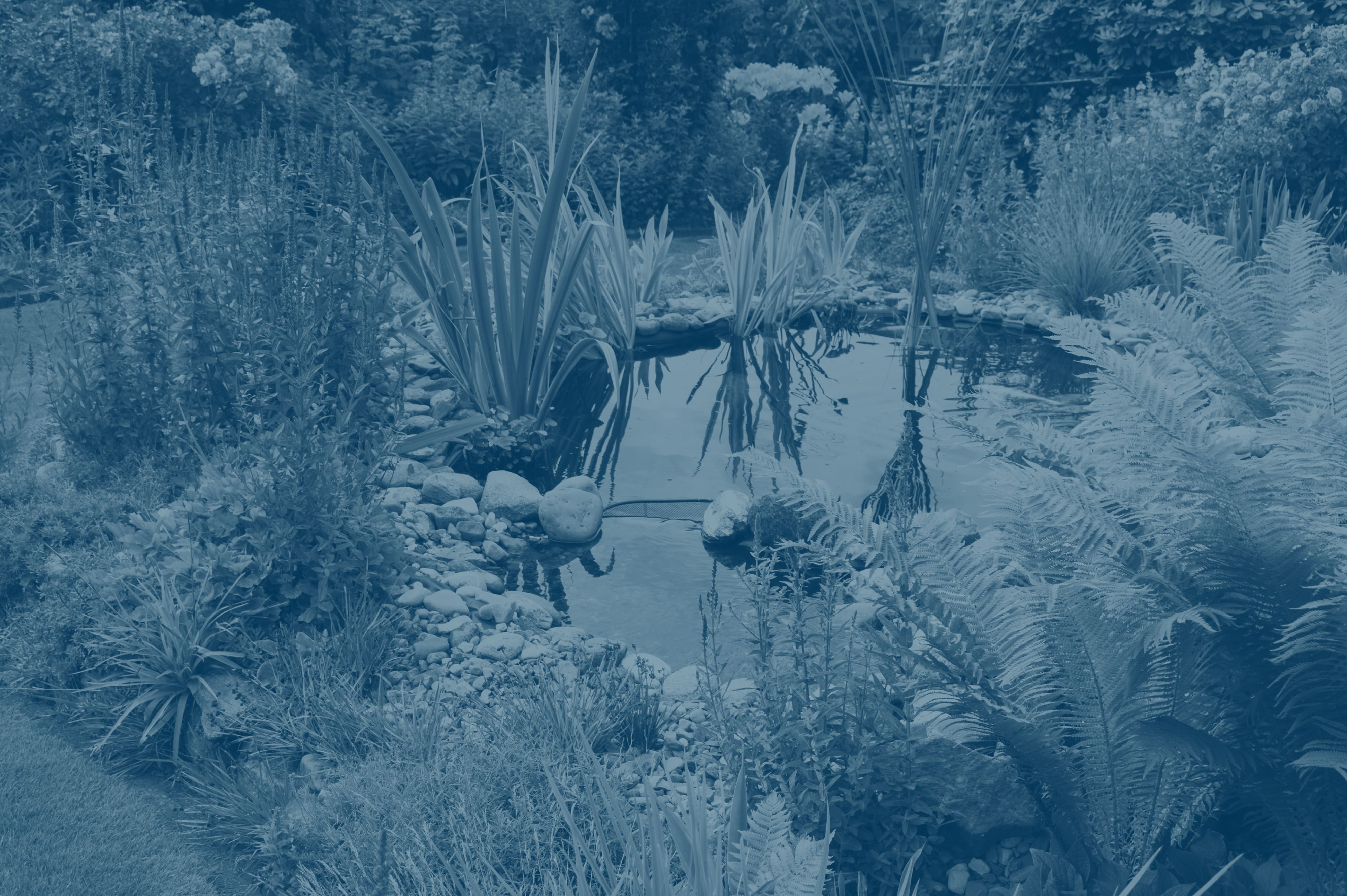 Want jobs? Job search made easy