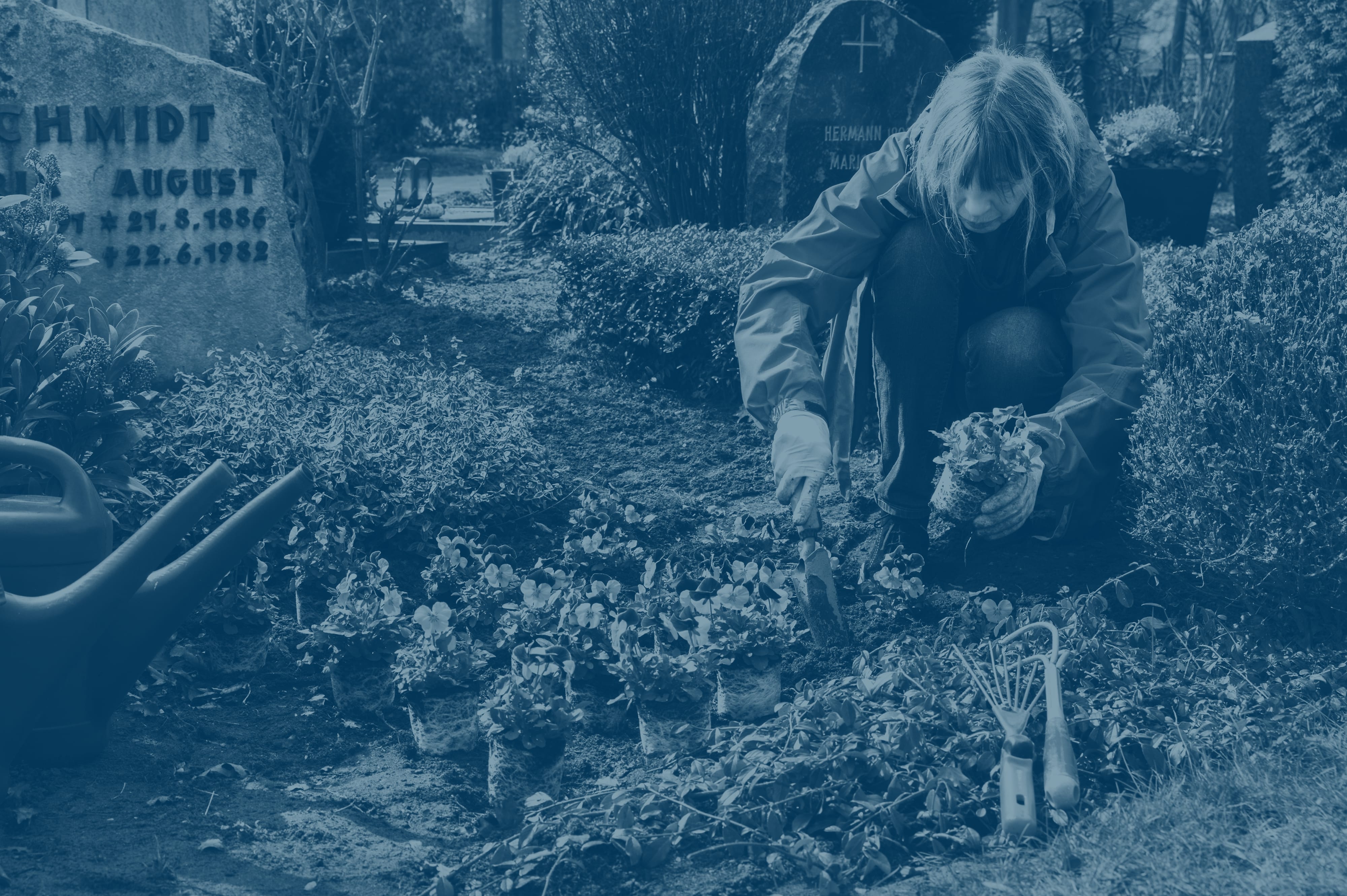 Want jobs? Job search made easy