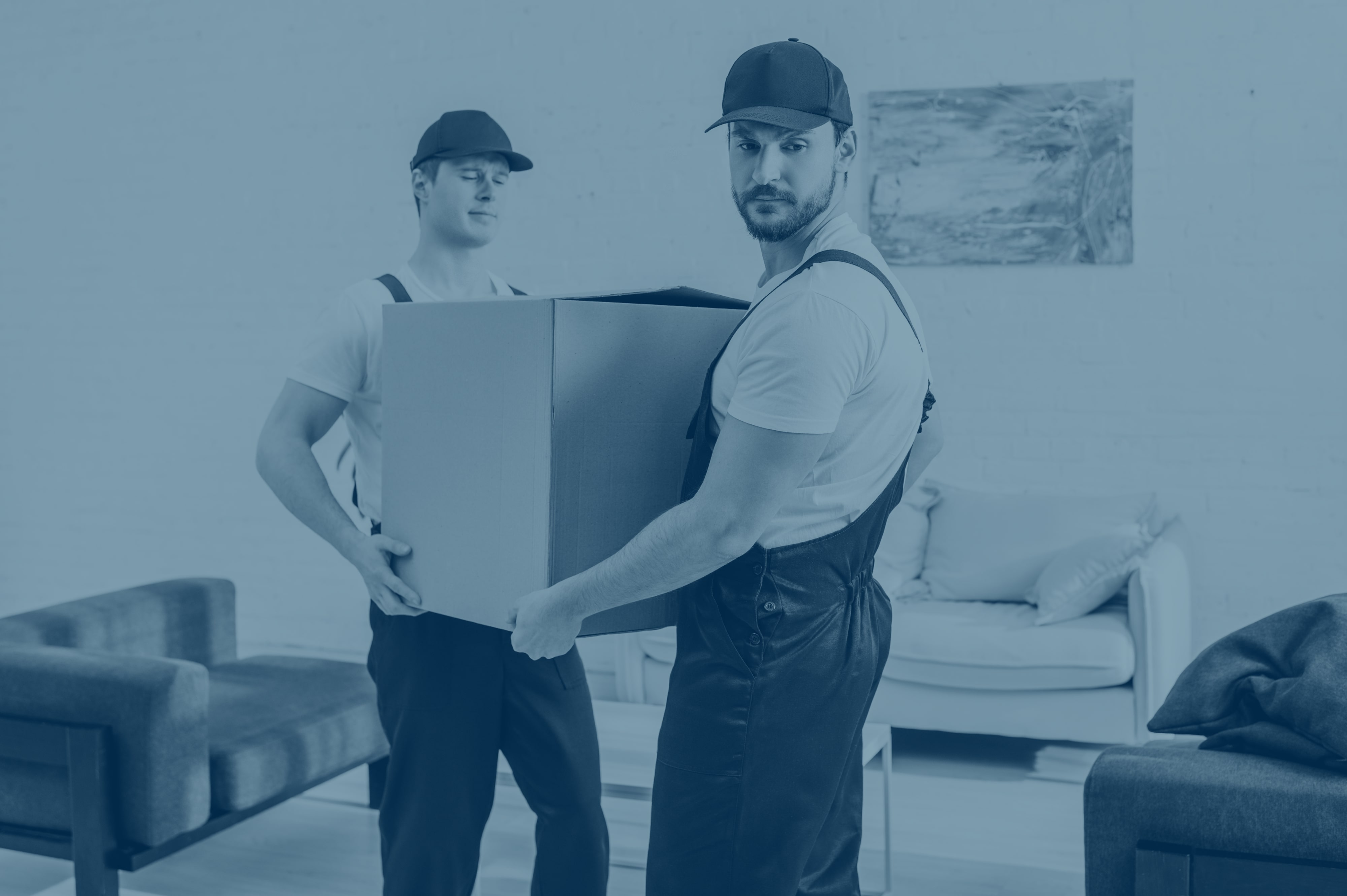 Want jobs? Job search made easy