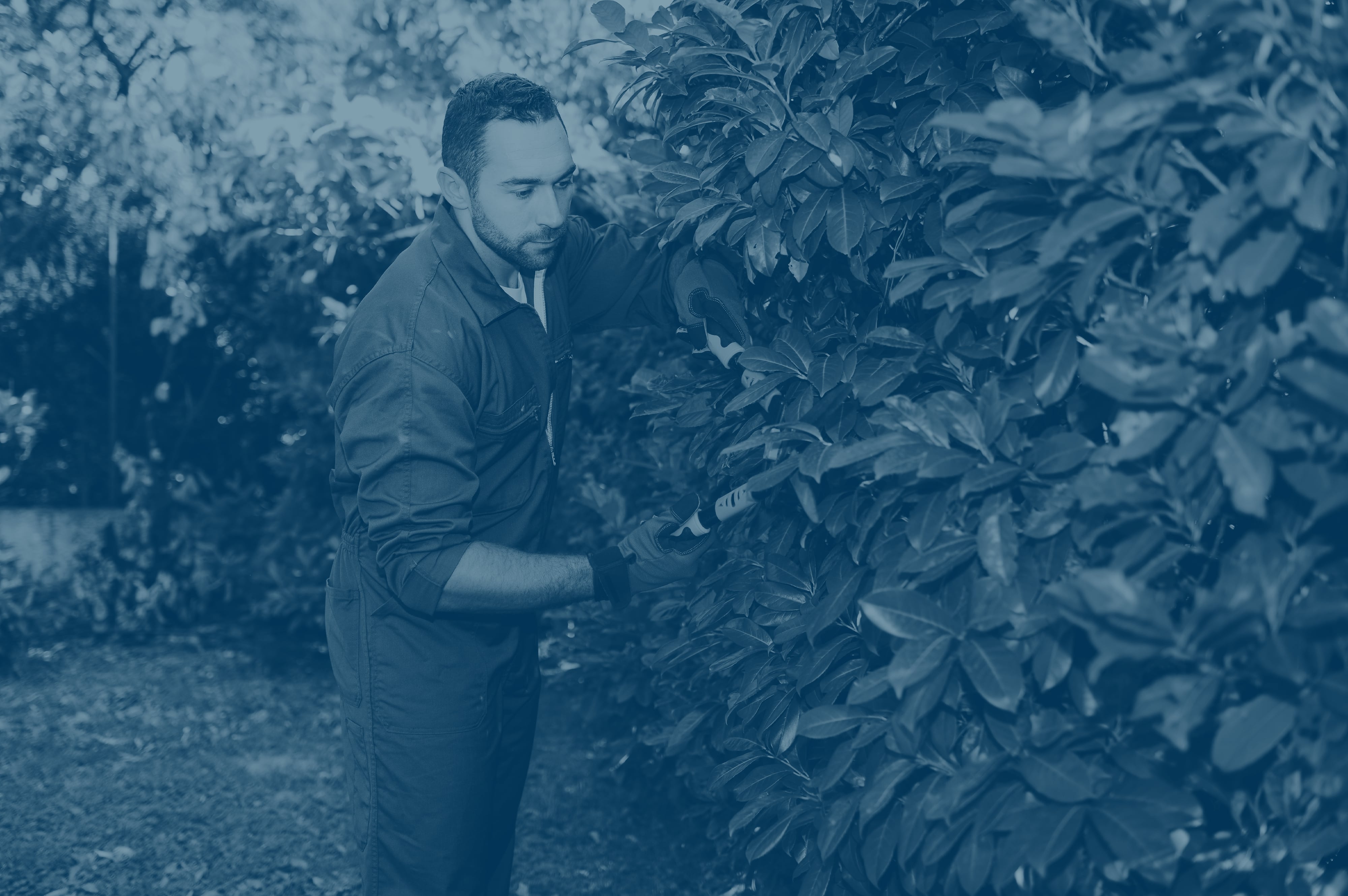 Want jobs? Job search made easy